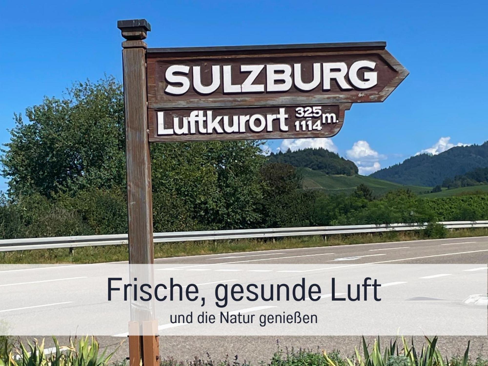 Ferienwohnungen Auszeit Langmatt 苏尔茨堡 外观 照片