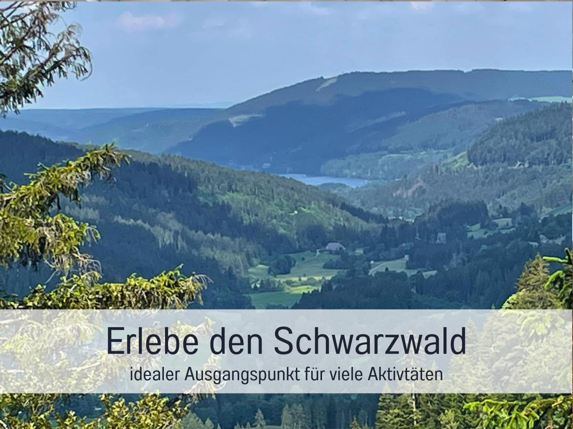 Ferienwohnungen Auszeit Langmatt 苏尔茨堡 外观 照片