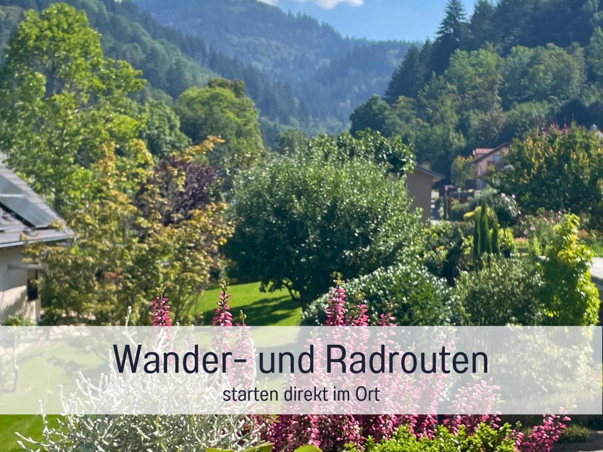 Ferienwohnungen Auszeit Langmatt 苏尔茨堡 外观 照片