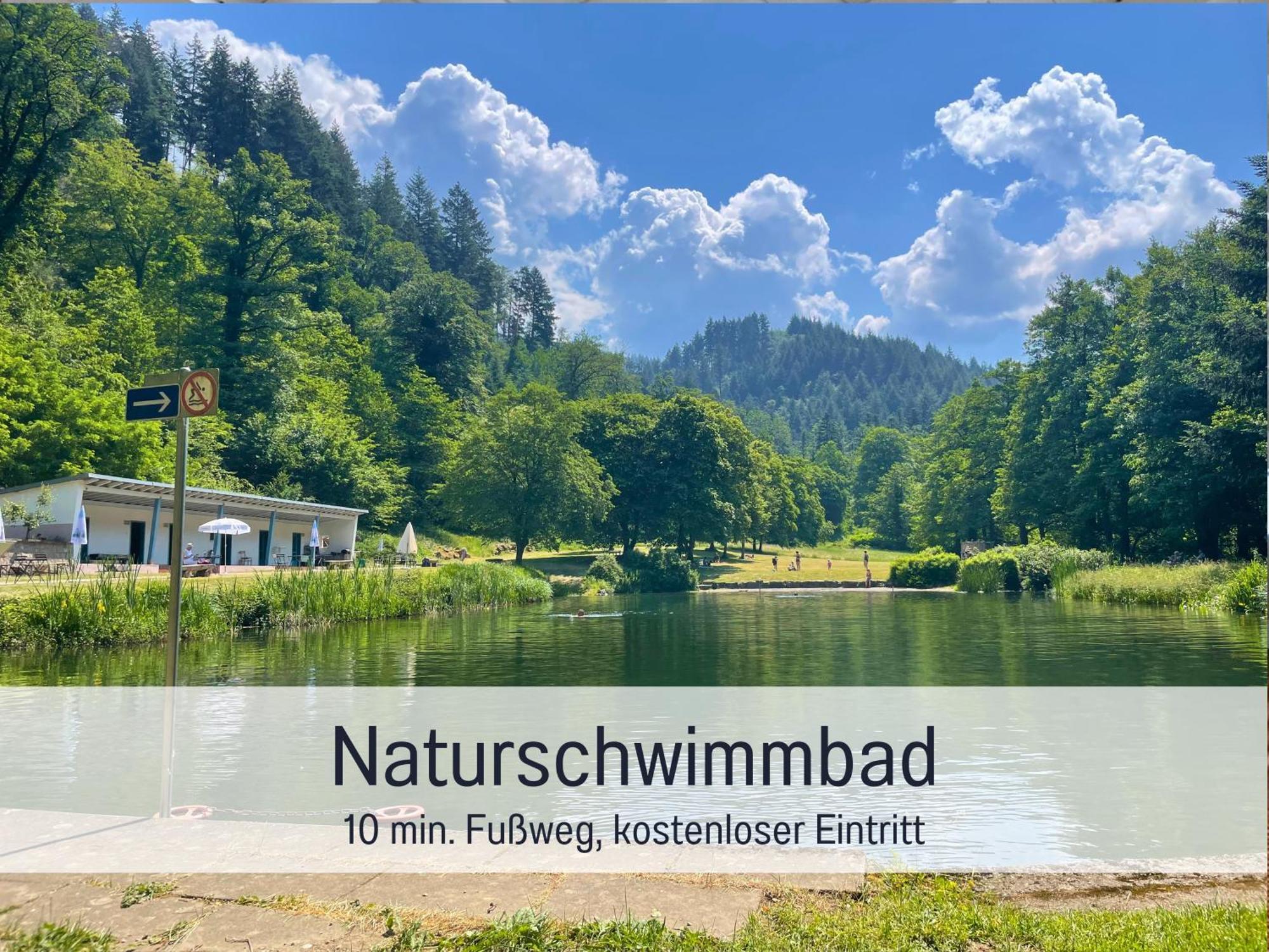 Ferienwohnungen Auszeit Langmatt 苏尔茨堡 外观 照片