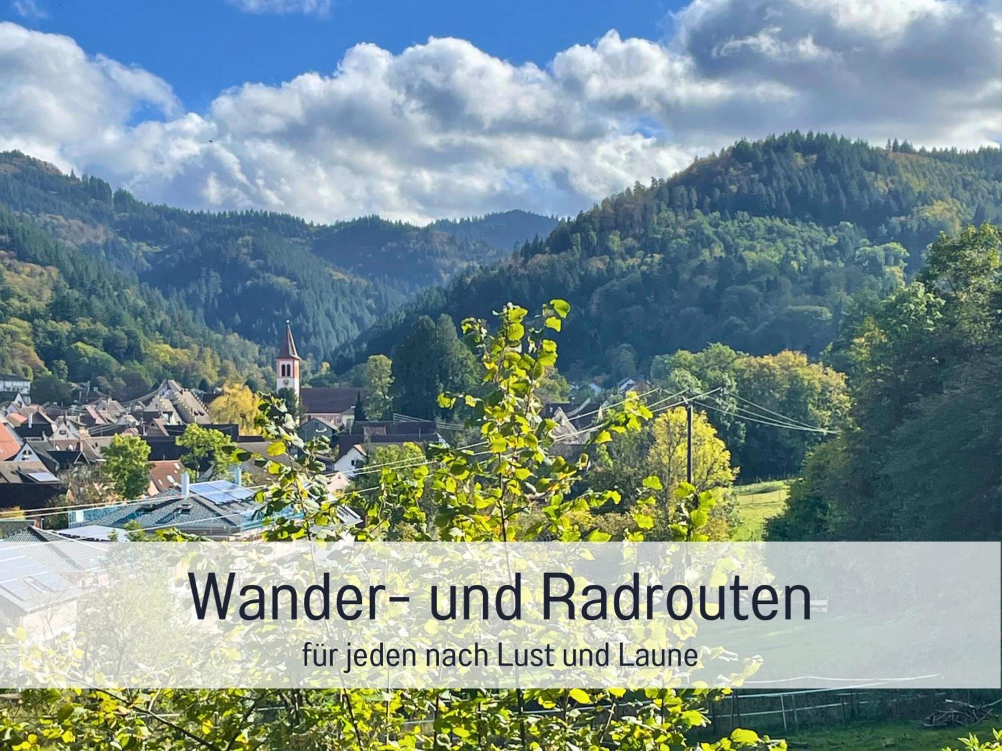 Ferienwohnungen Auszeit Langmatt 苏尔茨堡 外观 照片