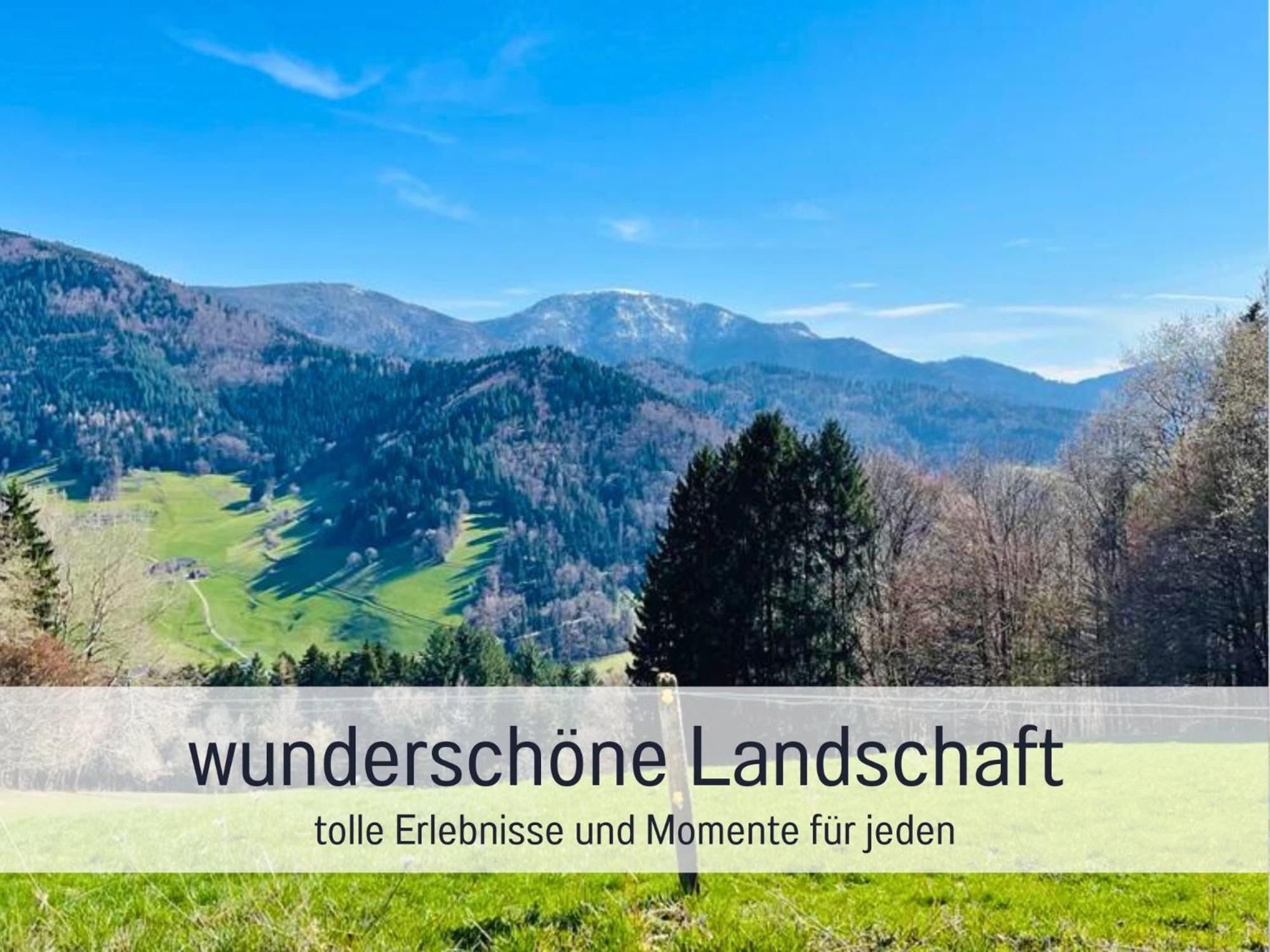 Ferienwohnungen Auszeit Langmatt 苏尔茨堡 外观 照片
