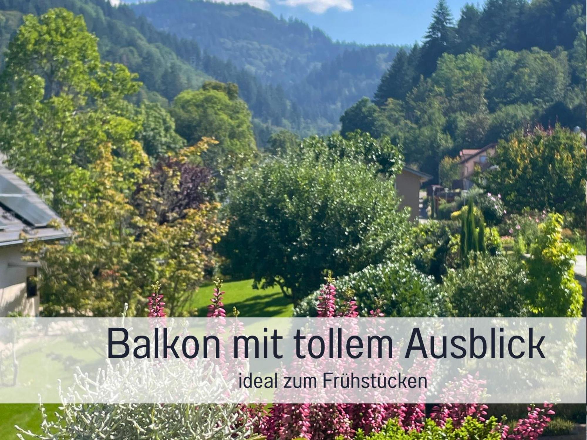 Ferienwohnungen Auszeit Langmatt 苏尔茨堡 外观 照片